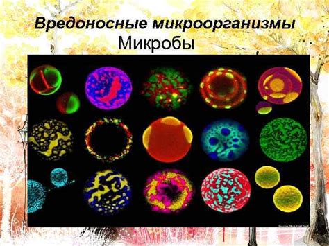 Причина 3: Смекта не устраняет вредоносные микроорганизмы