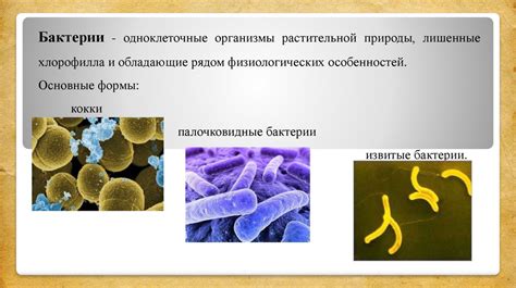 Причина 4: Микроорганизмы на коже