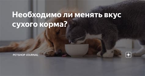 Причина 5: Коты могут просто не нравиться вкус сухого корма