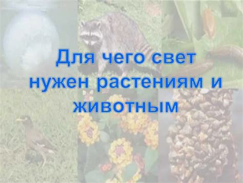 Причины, почему эрос необходим для нашей жизни