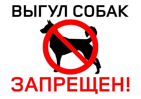 Причины, по которым ввоз собак запрещен