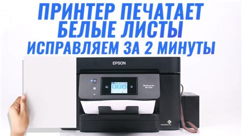 Причины, по которым принтер Epson L3100 не печатает