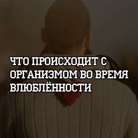 Причины влюбленности: Что происходит в организмах мужчин и женщин при влюблённости?