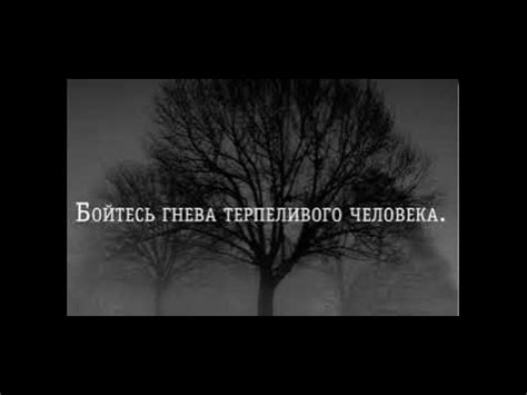 Причины возникновения гнева у терпеливого человека