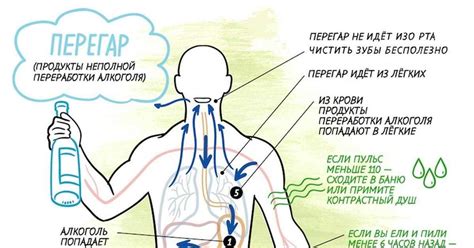 Причины возникновения похмелья и перегара