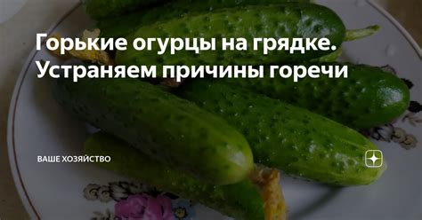 Причины горечи в снежных груздях