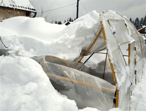 Причины запотевания теплицы