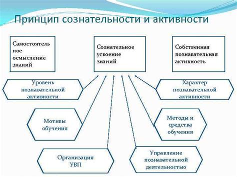 Причины запрограммированной активности