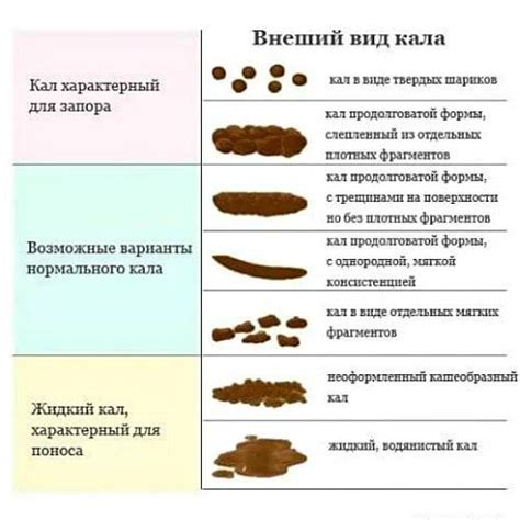 Причины изменения консистенции стула от твердого к жидкому