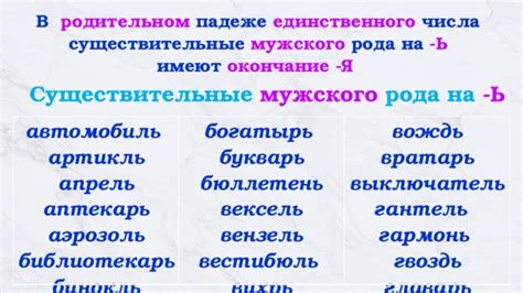 Причины использования мужского рода