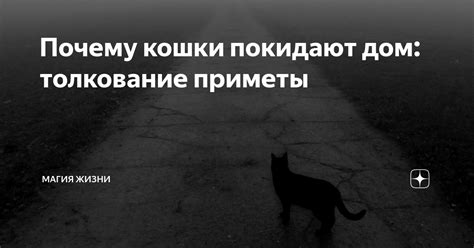 Причины исчезновения питомца