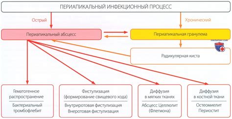 Причины и механизмы вылизывания