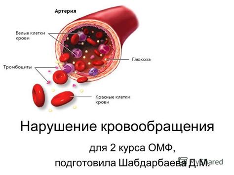 Причины и симптомы нарушения кровообращения в малом тазу