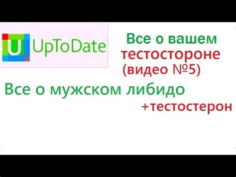 Причины и симптомы низкого либидо у мужчин