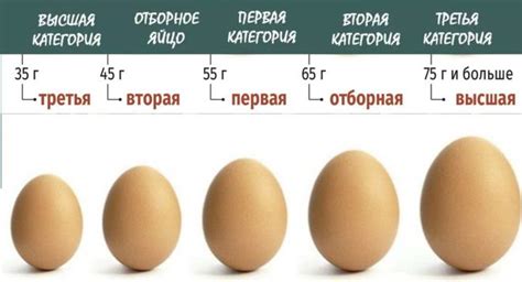 Причины мутности белка свежих яиц