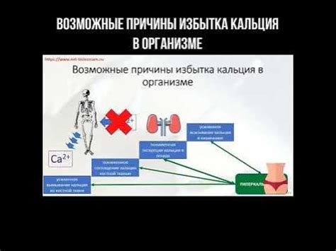 Причины низкой усвояемости кальция