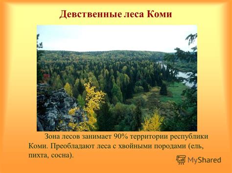 Причины объединения разнообразия ландшафтов русской равнины