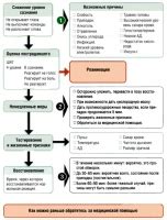 Причины потери сознания у кота