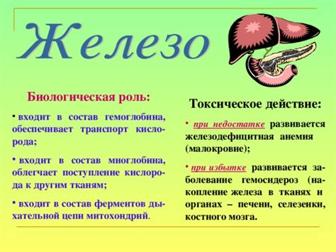 Причины появления аппетита на мелководье при недостатке гемоглобина