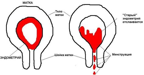 Причины продолжающегося кровотечения после родов через месяц