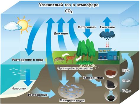 Причины смущающего эффекта