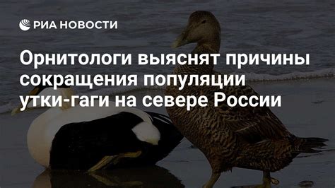 Причины сокращения популяции