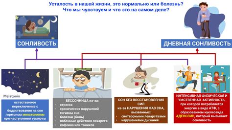 Причины сонливости вечером