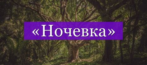 Причины употребления слова "ночевка"