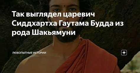 Причины ухода царевича Сиддхартха Гаутама из дворца