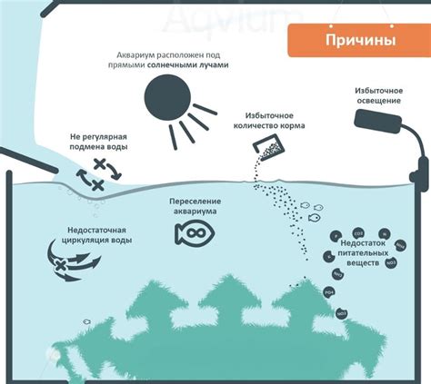 Причины формирования популяций водорослей