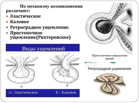 Причины чешущихся пахов