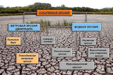 Причины эрозии почвы, обусловленной деятельностью мужчины