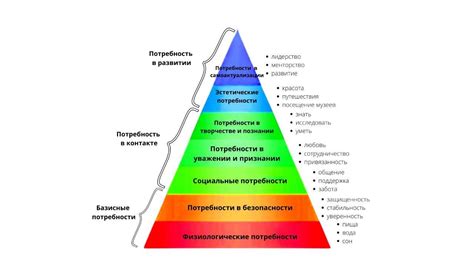 Причины этой потребности