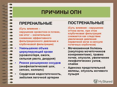 Причины эффективного сушения оперения