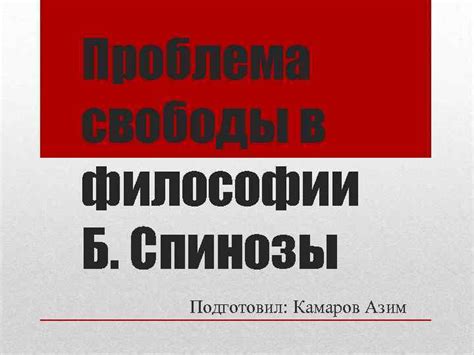 Проблема свободы воли в философии Спинозы