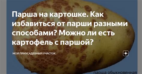 Проблема с паршивостью на картошке