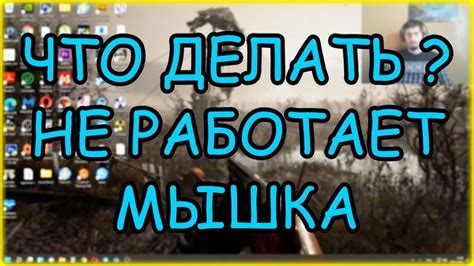 Проблема с работой мыши на ноутбуке, но она светится