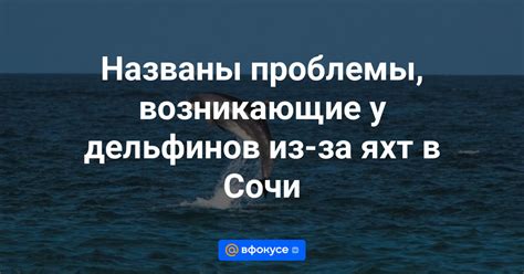 Проблемы, возникающие из-за аппаратного ускорения