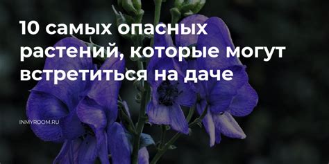 Проблемы, которые могут встретиться