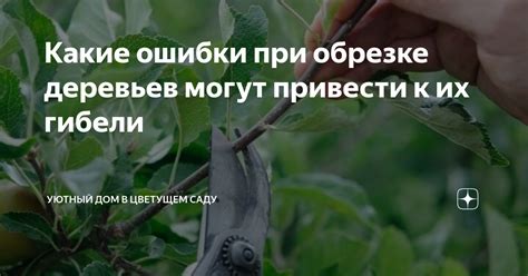 Проблемы и их решения при обрезке чубушника