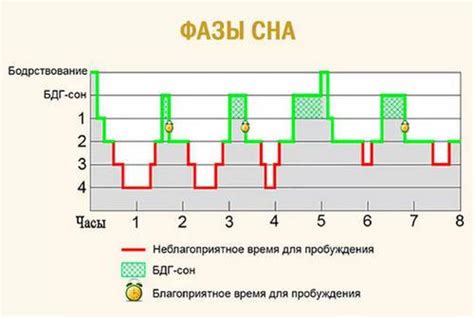 Проблемы сонных циклов