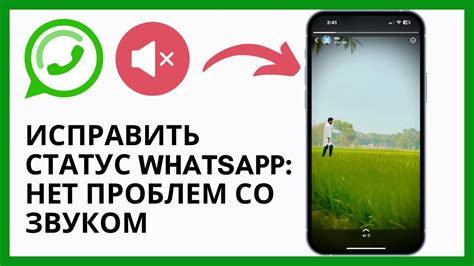 Проблемы со звуком в видеозвонке WhatsApp на iPhone