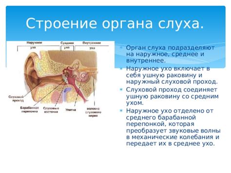 Проблемы со средним ухом