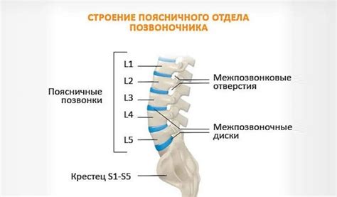 Проблемы со шеей: причины и последствия