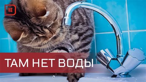 Проблемы с водоснабжением в здании