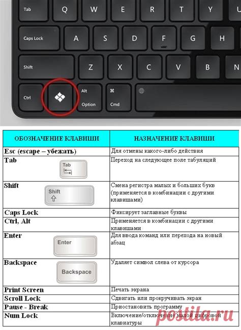 Проблемы с ноутбуком: эффективные способы решения без потери данных