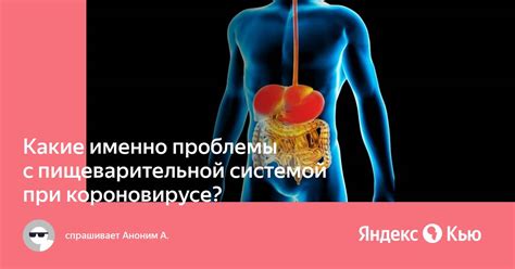 Проблемы с пищеварительной системой и микрофлорой