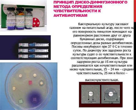 Проведение анализа чувствительности к антибиотикам