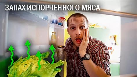 Проверенные методы избавления от запаха свежего свиначьего мяса