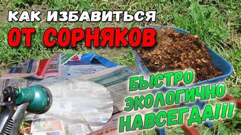 Проверенные методы очистки от сорняков